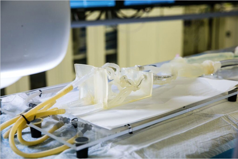 screen-shot-2015-11-24-at-12.11.57-pm-100630020-orig