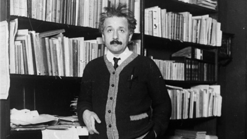 Image: Don Quijote de la Einsta