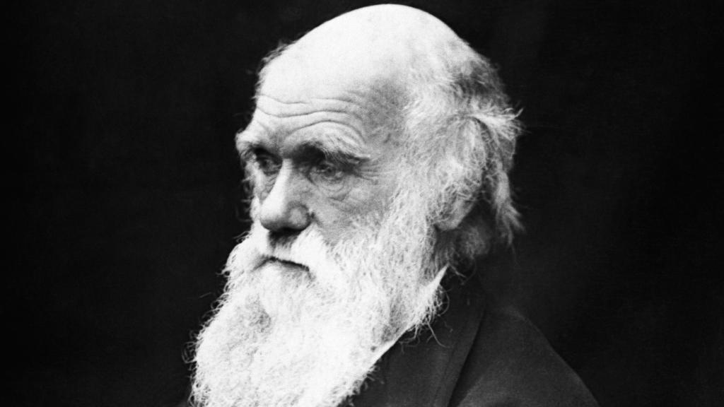 Charles Darwin es el padre de la teoría de la evolución.