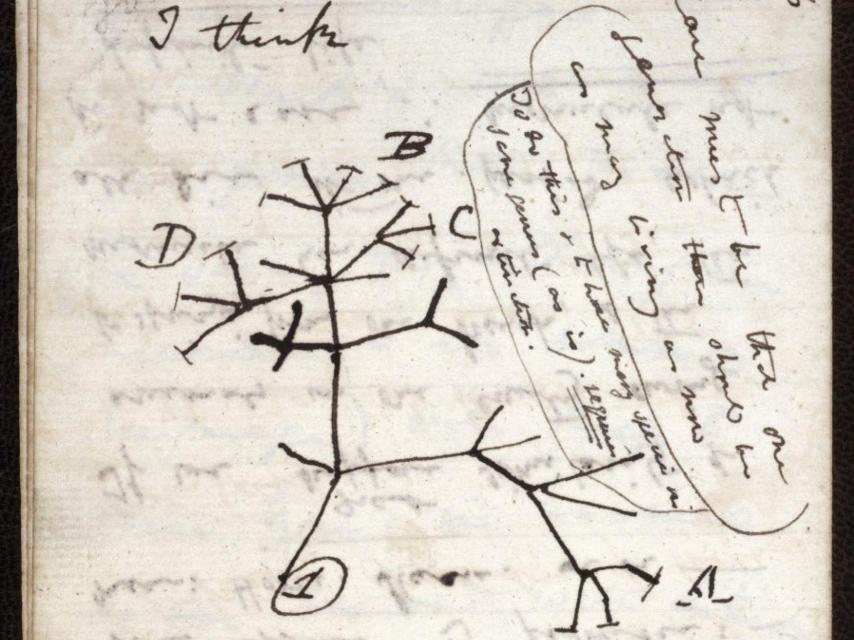 Fragmento de la famosa página 36 de la Libreta B.