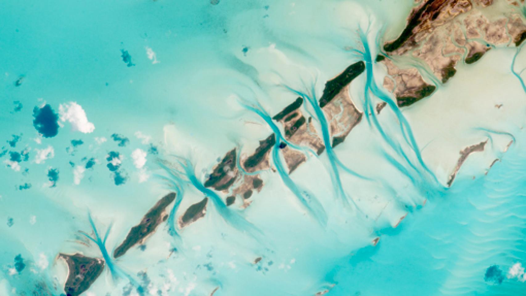 Image: Ciencia, científicos y cambio climático