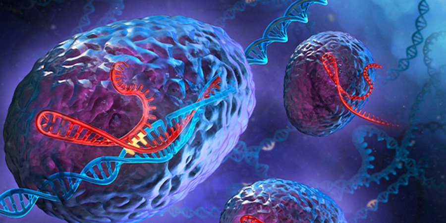 crispredicióngenética1