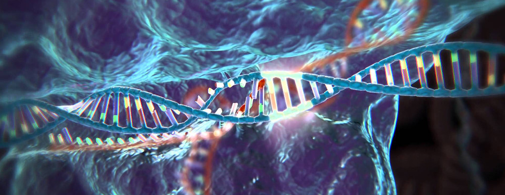 crispredicióngenética2