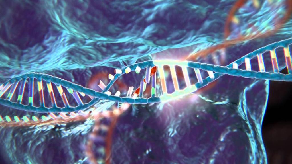 crispredicióngenética2