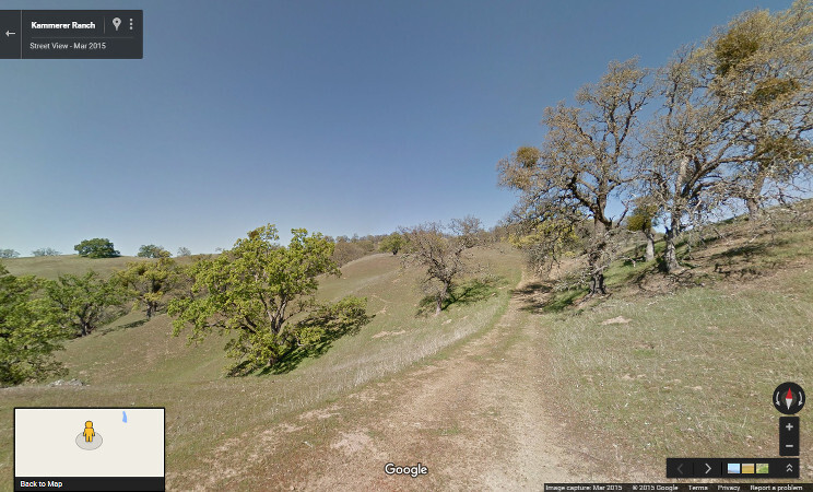 cambio climatico street view 2