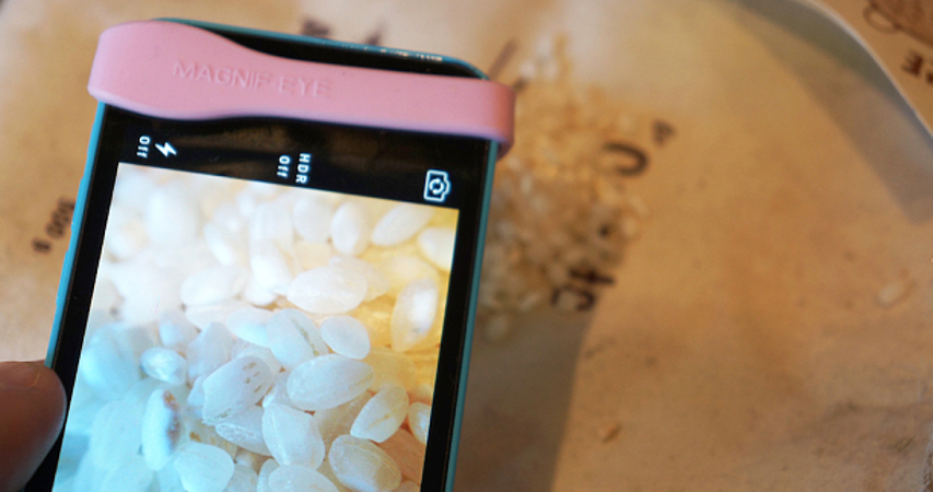 lentemacrouniversal2