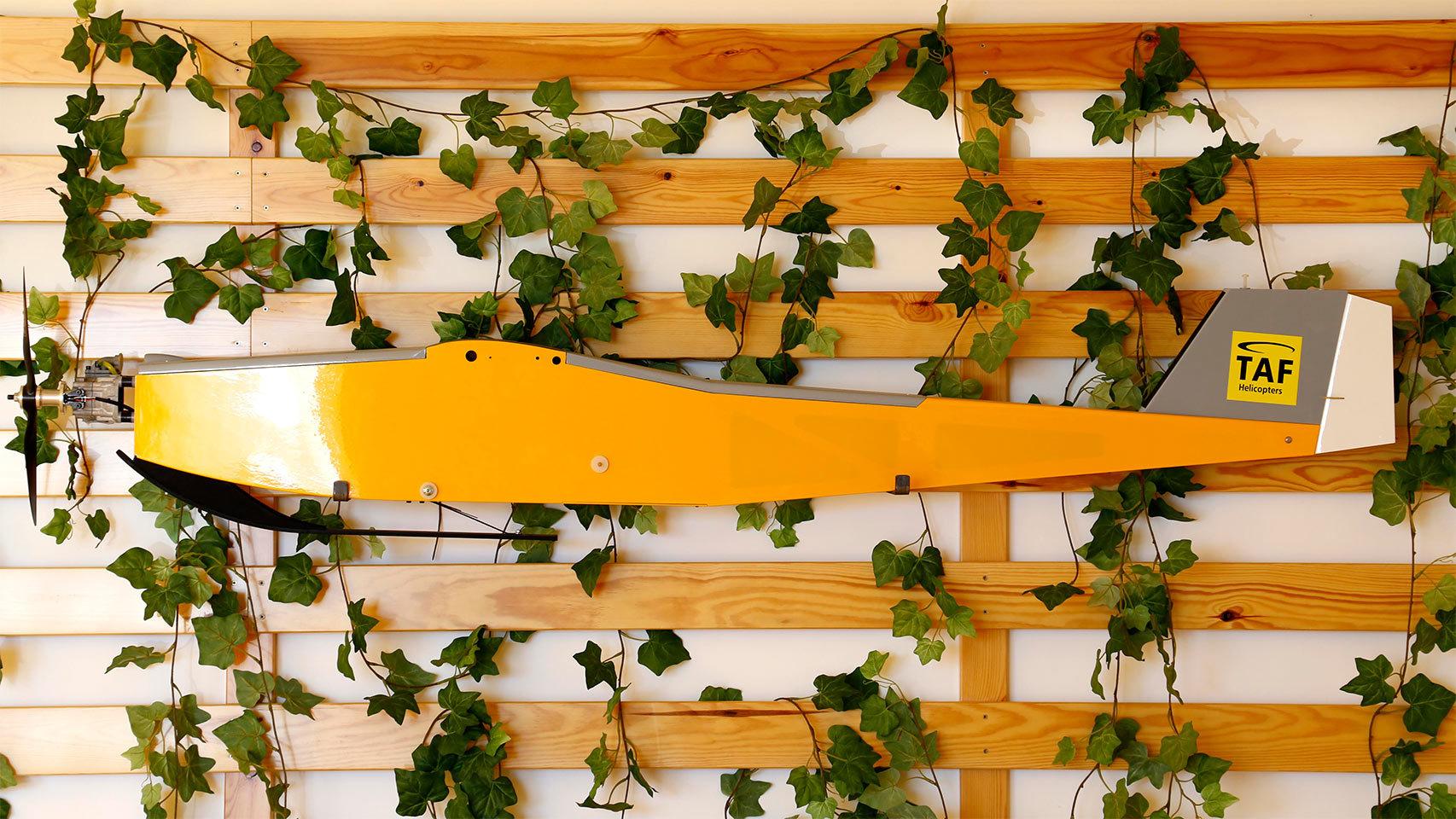 La sede de la empresa.