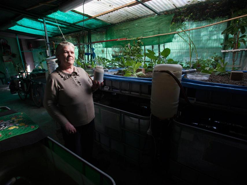 Soledad junto a su cultivo.