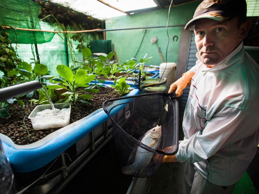 Uno de los cultivos.