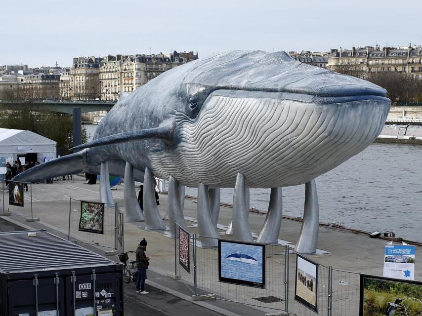 Exposición en París con motivo de la Conferencia Mundial del Clima.