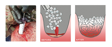 x_start_how_to.0 (1)