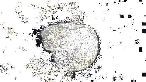 mundo microscopico 1