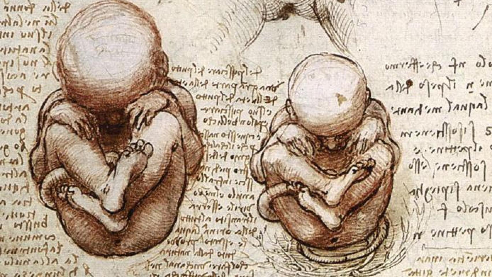 El dilema de la manipulación genética humana está sobre la mesa