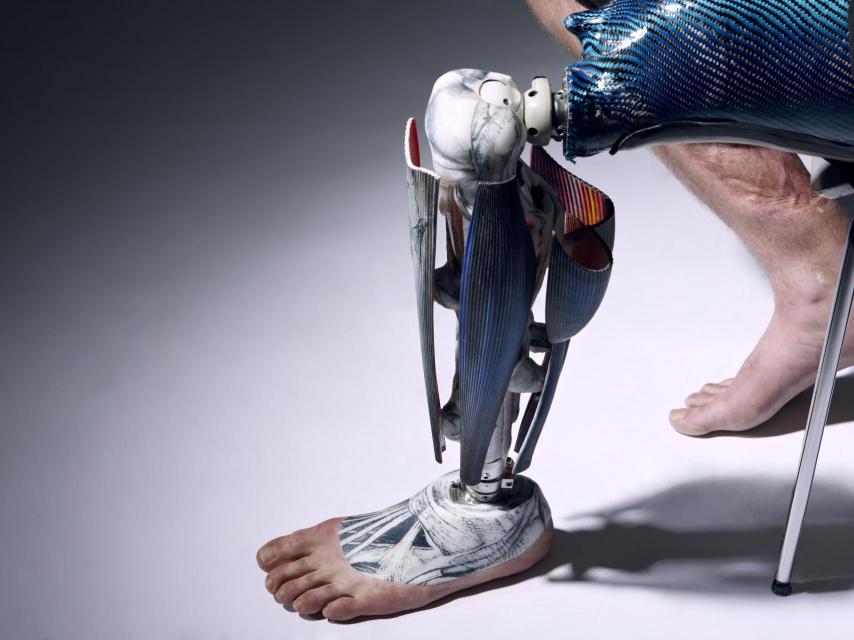 Una pierna anatómica.