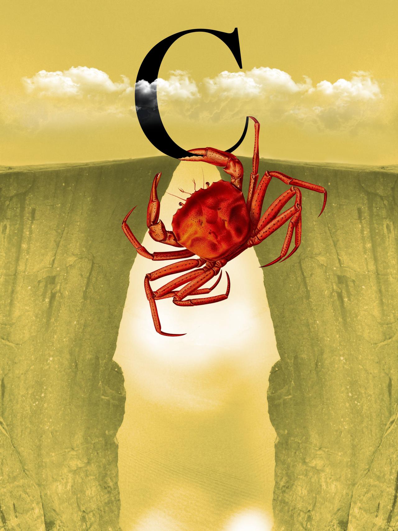 Cataluña ante la cita del 20-D