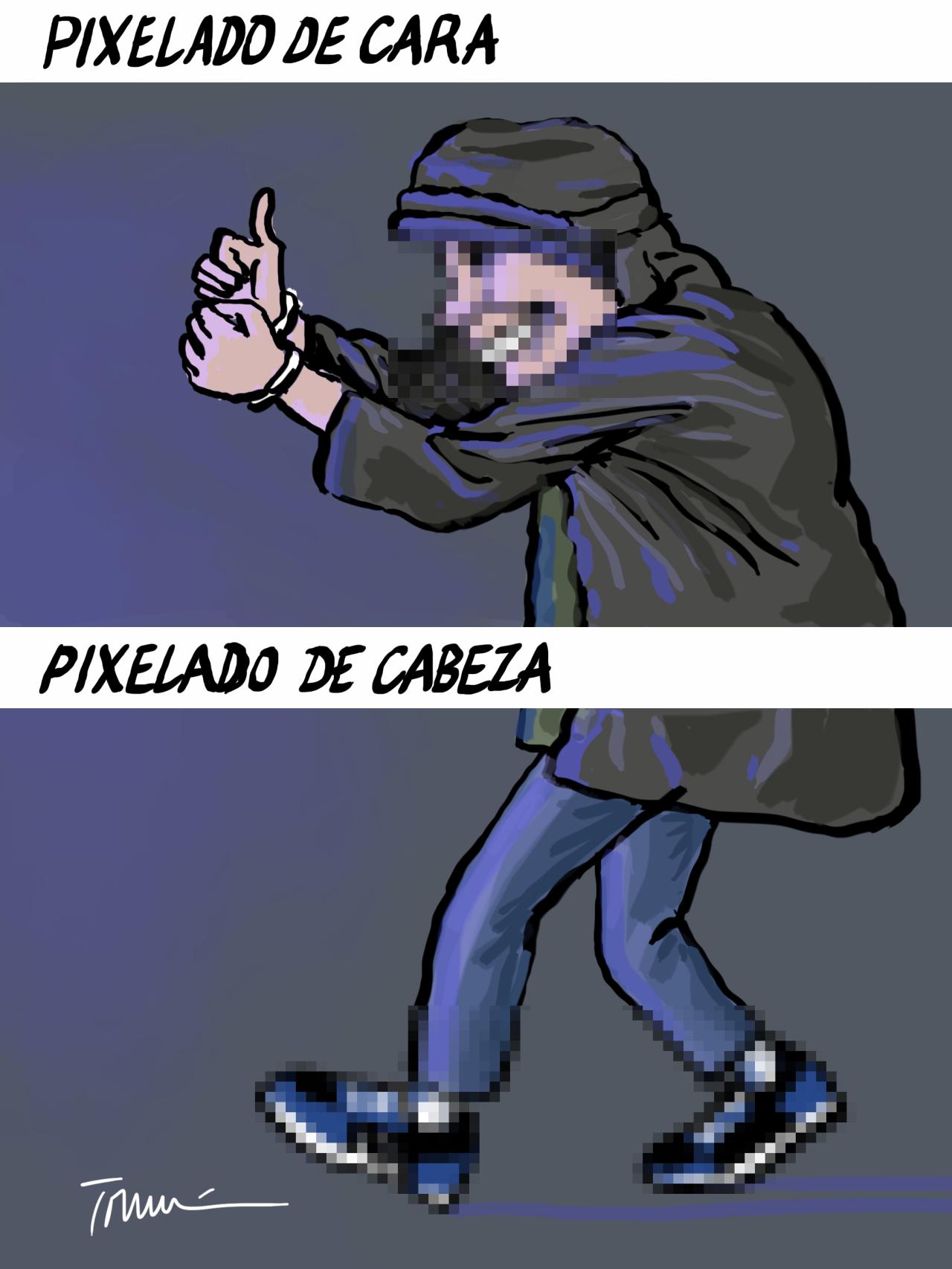 La última zarpa