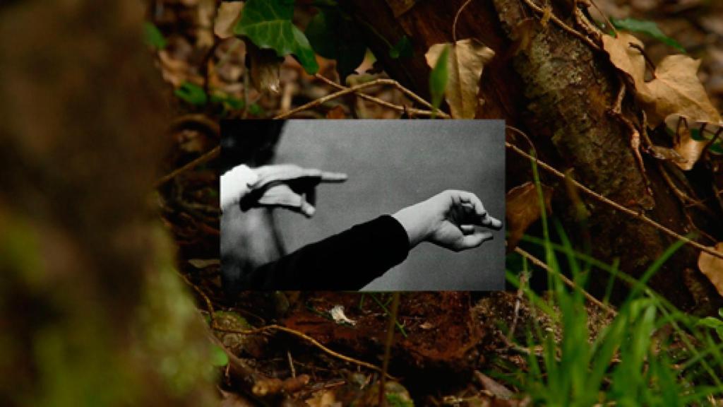 Image: Lúa Coderch, cartas sobre el paisaje