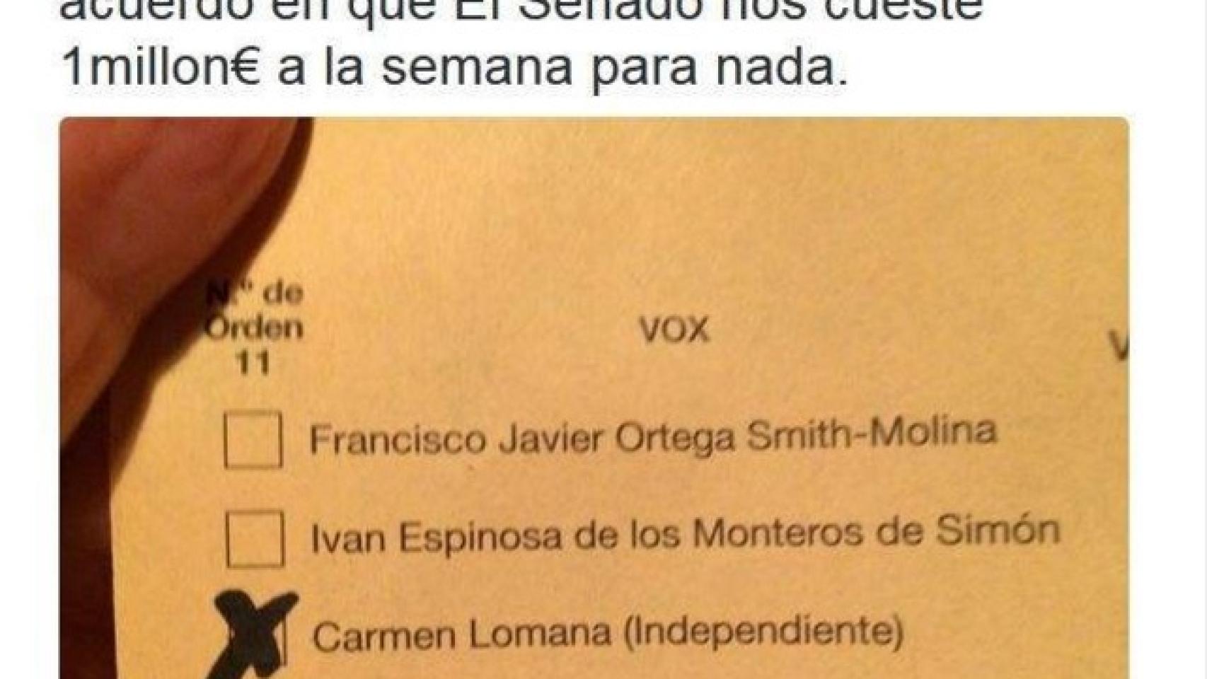 Tuit Carmen Lomana pidiéndo el voto durante la jornada de reflexión