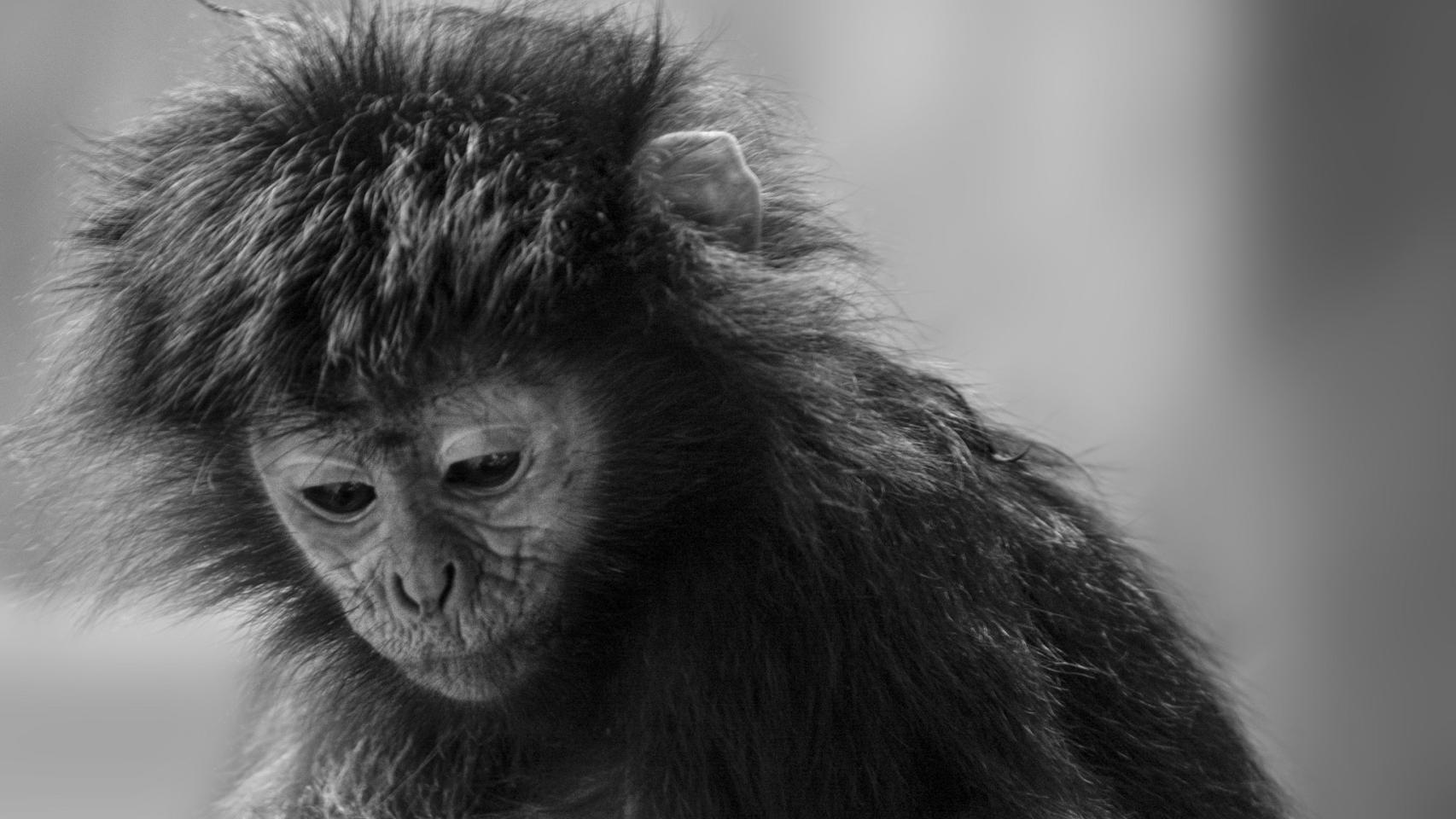 Así nos quedamos en Prodigios si pensamos que no nos leéis.