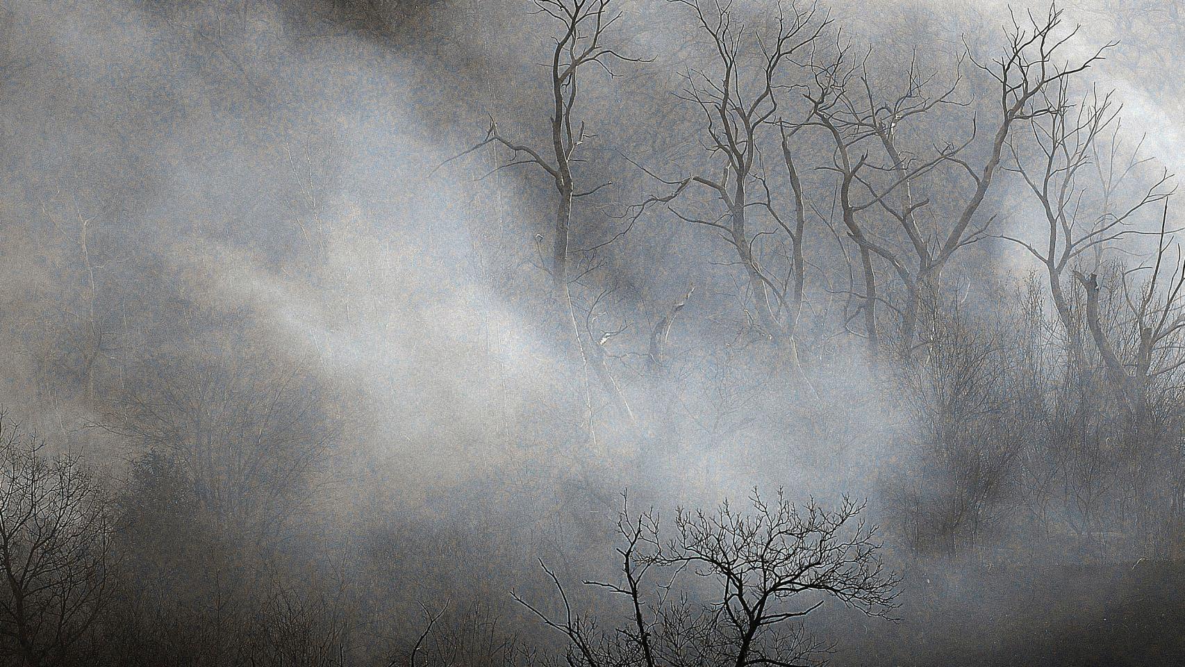 La humareda oculta un monte en Bárcena Mayor, Cantabria.