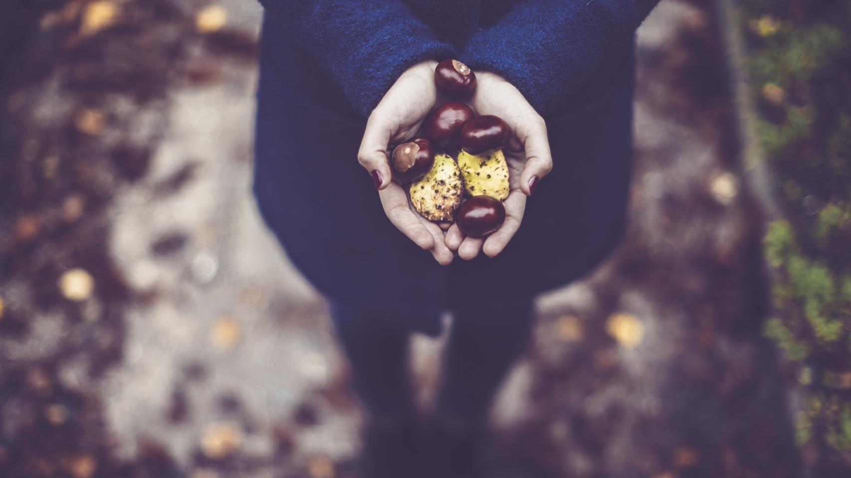 Se las llegó a conocer como el pan de los pobres. Gtres
