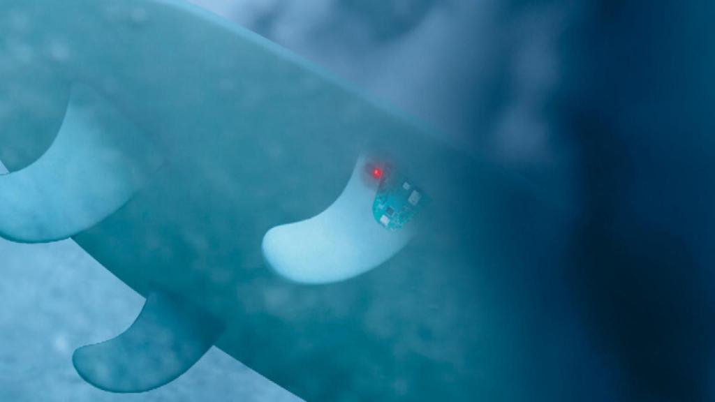 tabla-inteligente-surf-01