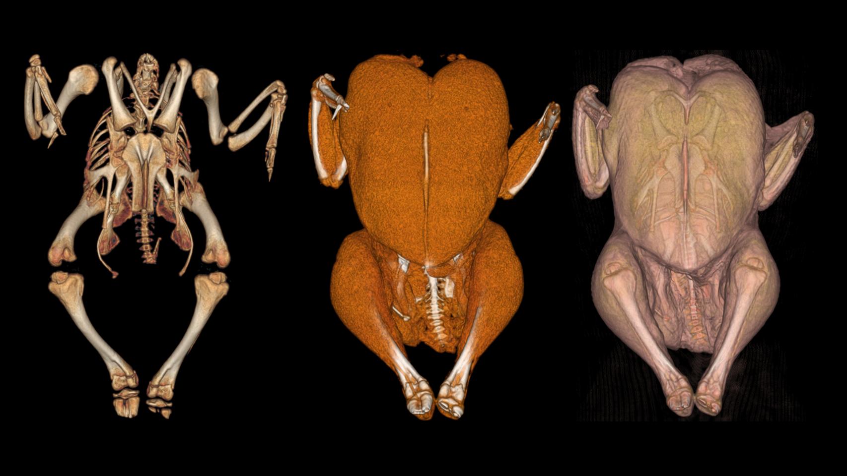 El interior de un pollo.