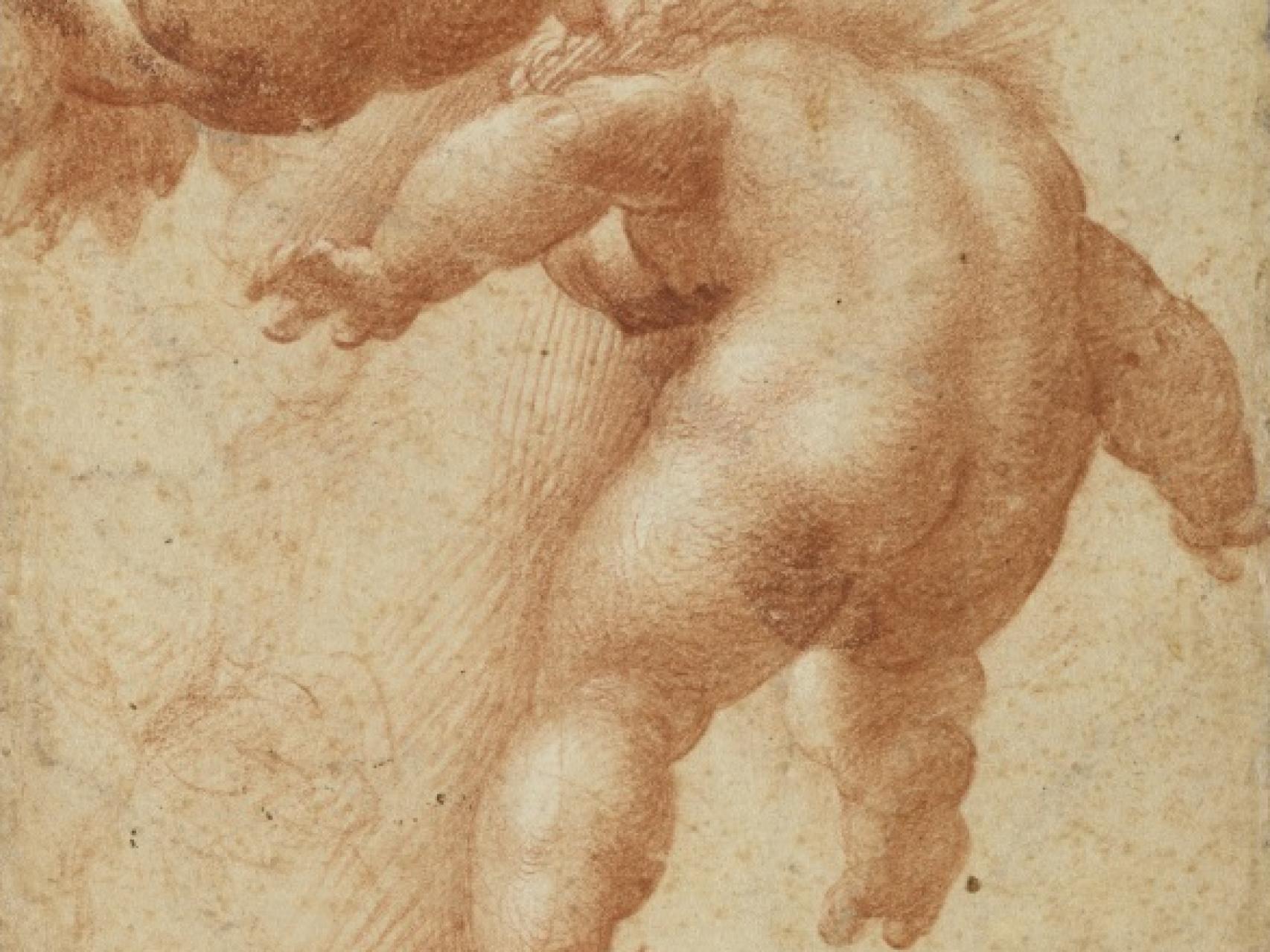 Fragmento de los dos putti volantes de Parmigianino, boceto en el Louvre.