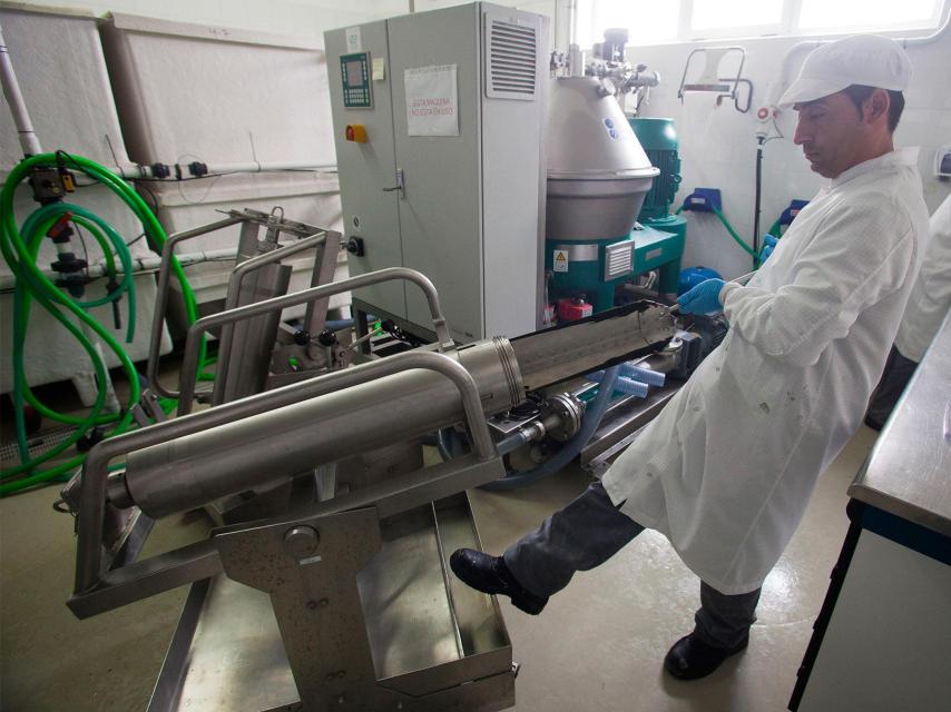 La fábrica de plancton.