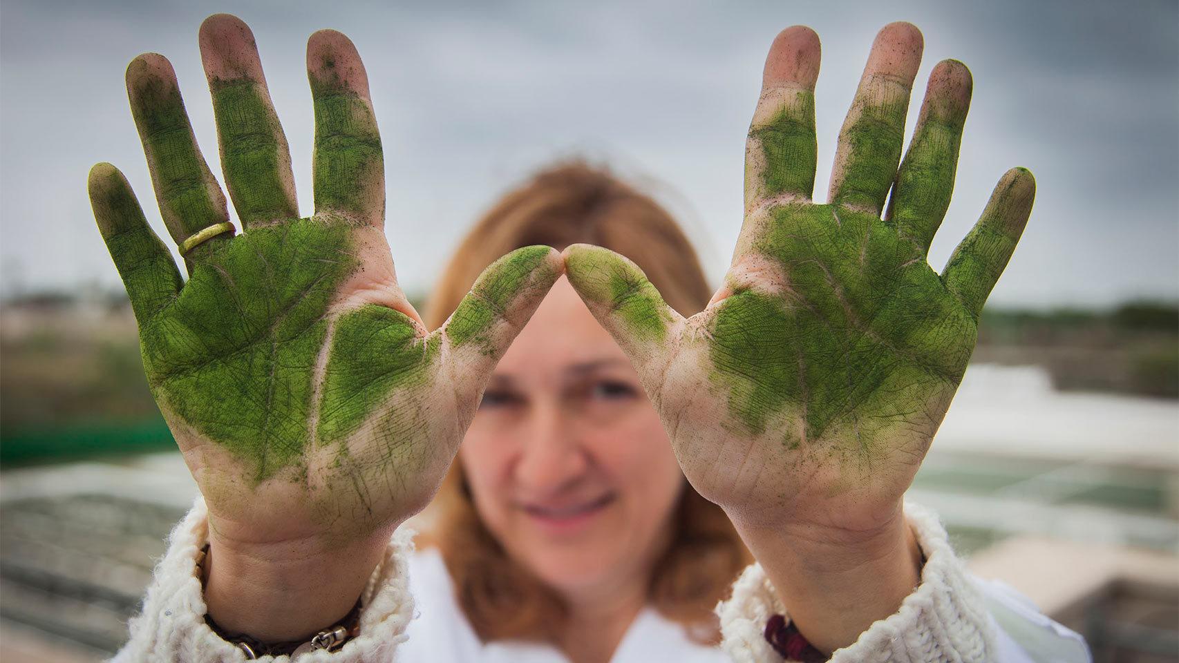 Mantecón con las manos manchadas de plancton.
