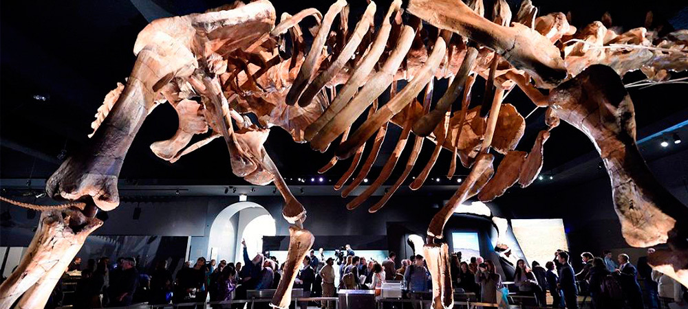 dinosaurio-mas-grande