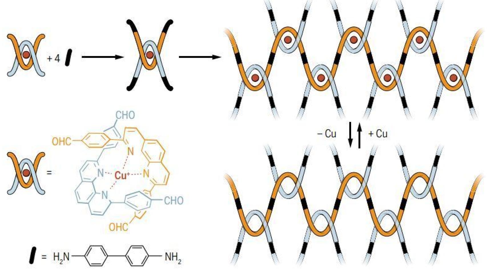 Arriba, el patrón de tejido molecular con los iones de cobre dentro. Abajo, sin ellos.