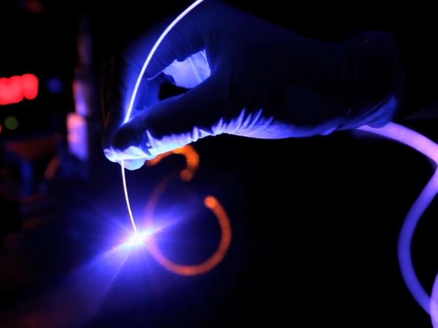 Recreación de un experimento de optogenética en ratones.