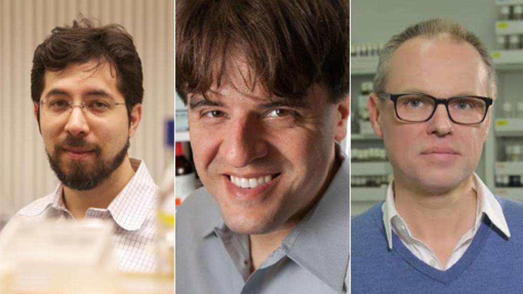 Image: Boyden, Deisseroth y Miesenböck, sin límites en el estudio del cerebro