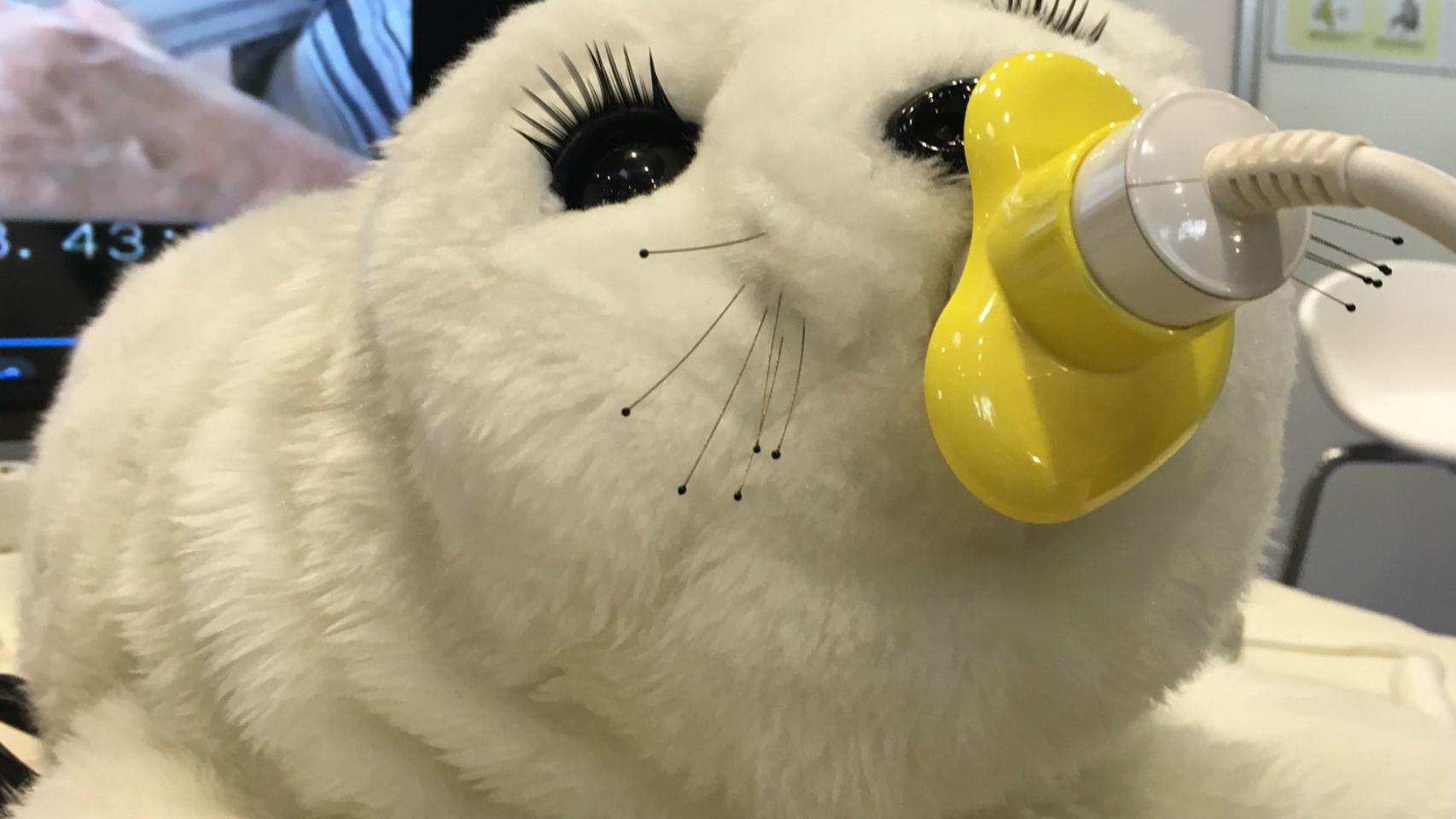 La foca PARO es adorable.