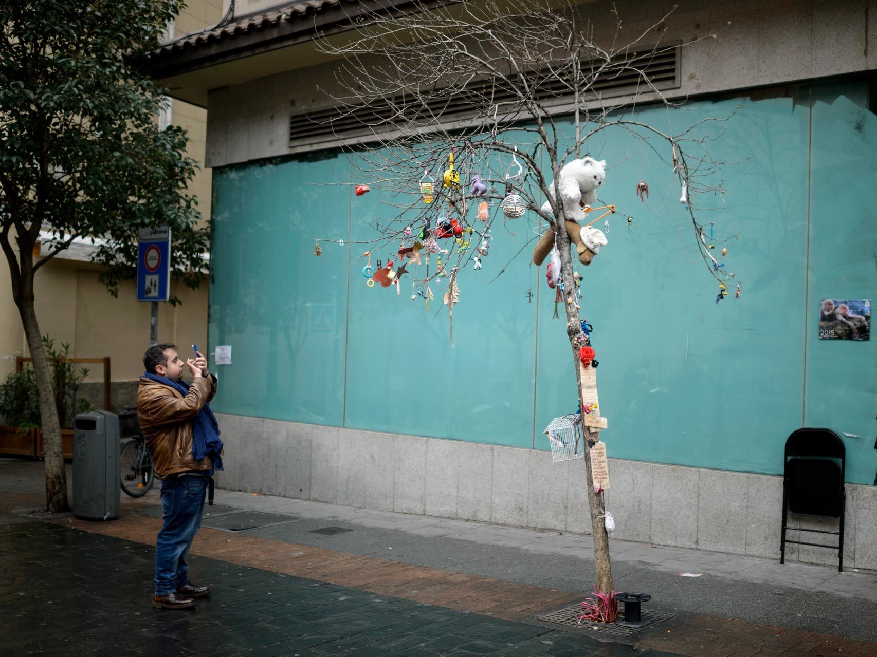 Un paseante hace una foto al árbol encantado