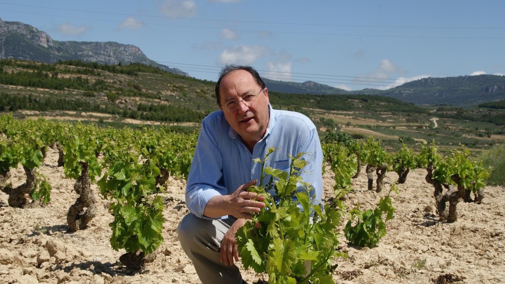 El presidente del grupo Matarromera, Carlos Moro.