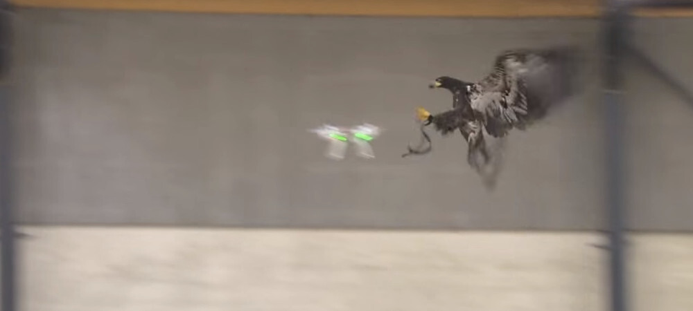 aguila drone 3