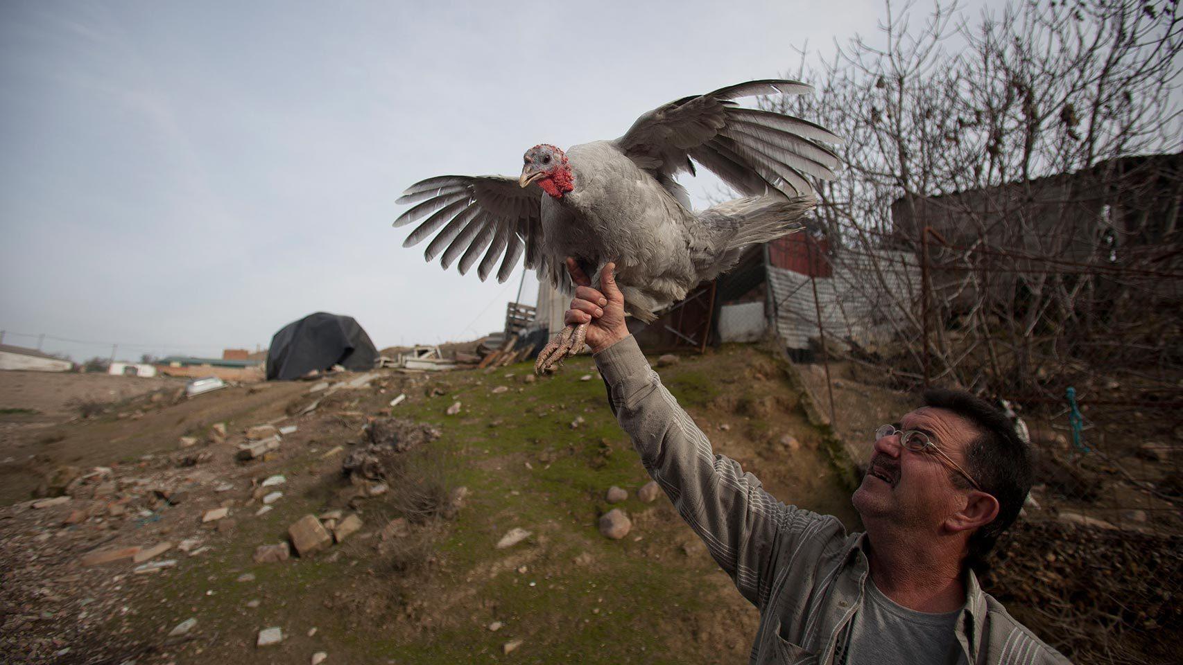 La pava Blasa, con Pepe El Cordobés.