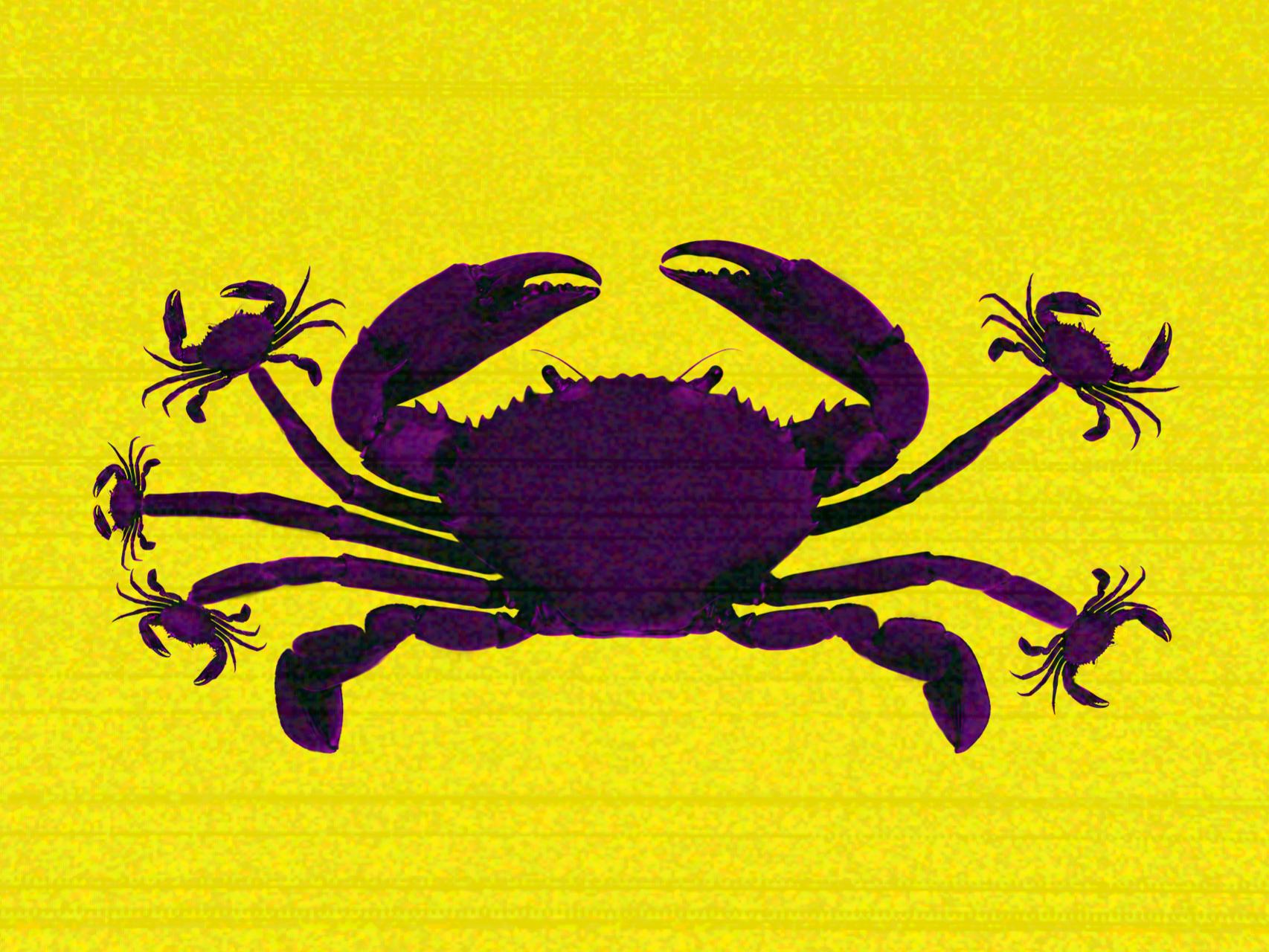 El 4 de febrero es el Día Mundial del Cáncer.