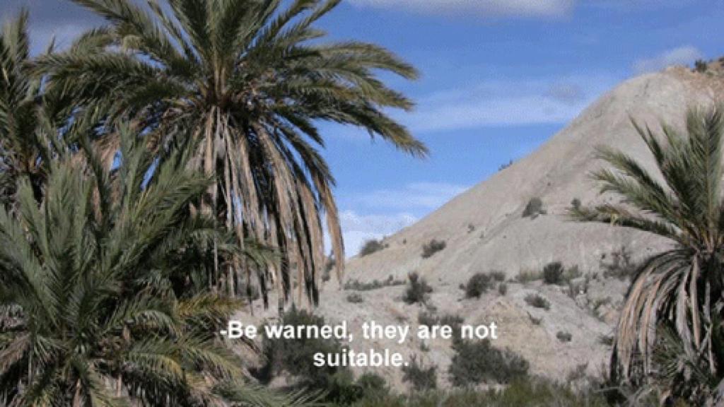 Image: A través de las fronteras