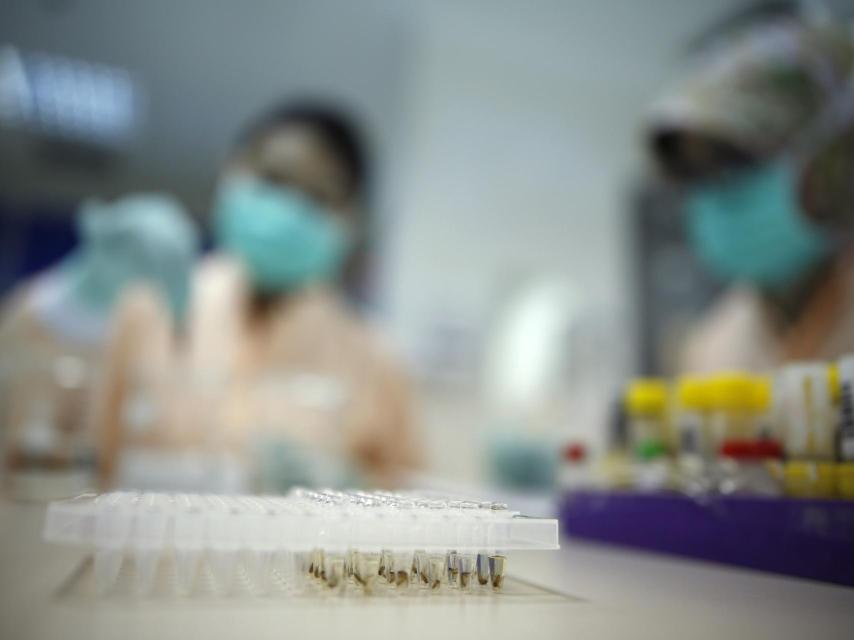 Investigación con mosquitos transmisores de enfermedades en Indonesia.