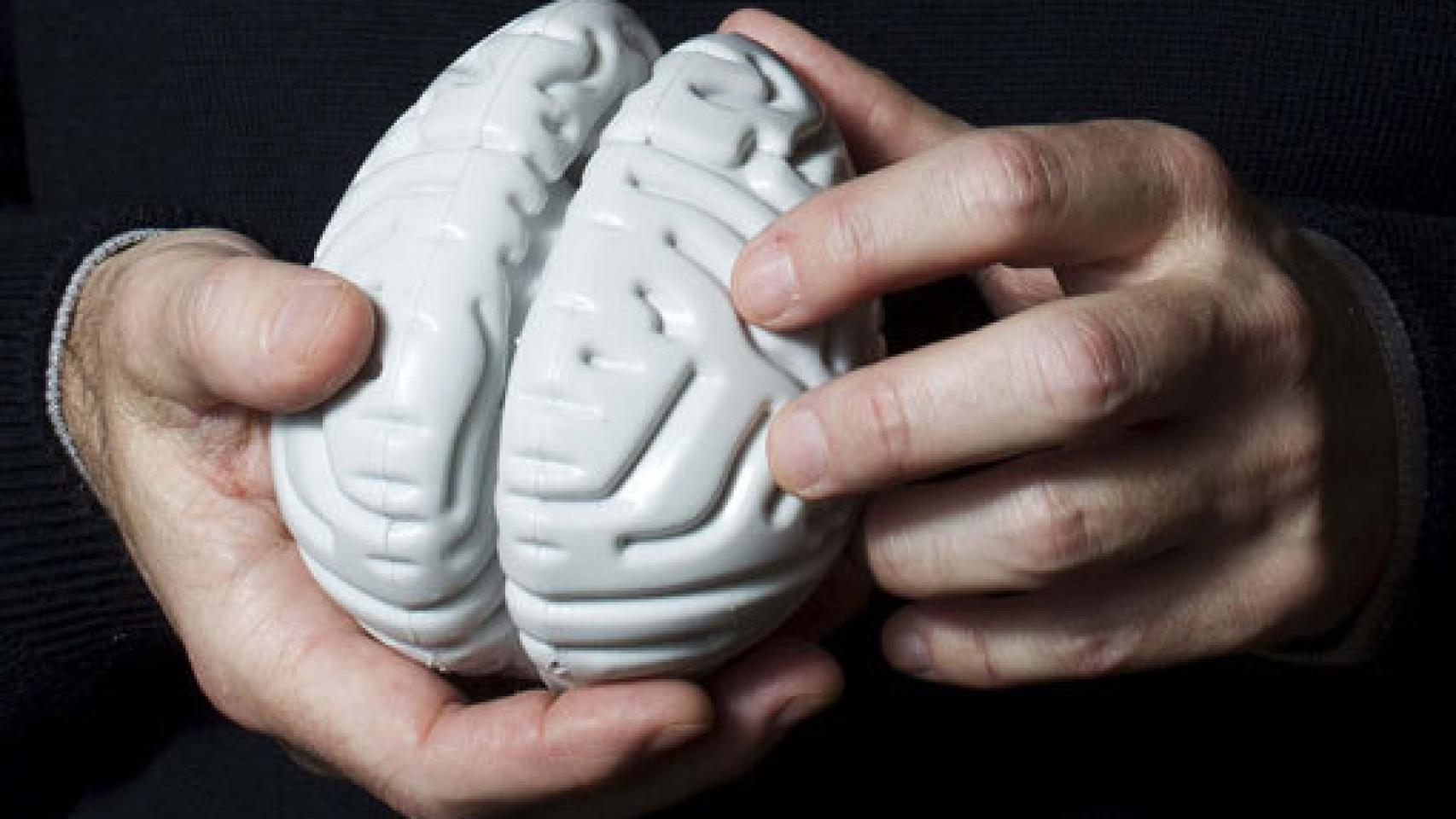 Image: Interdisciplinariedad