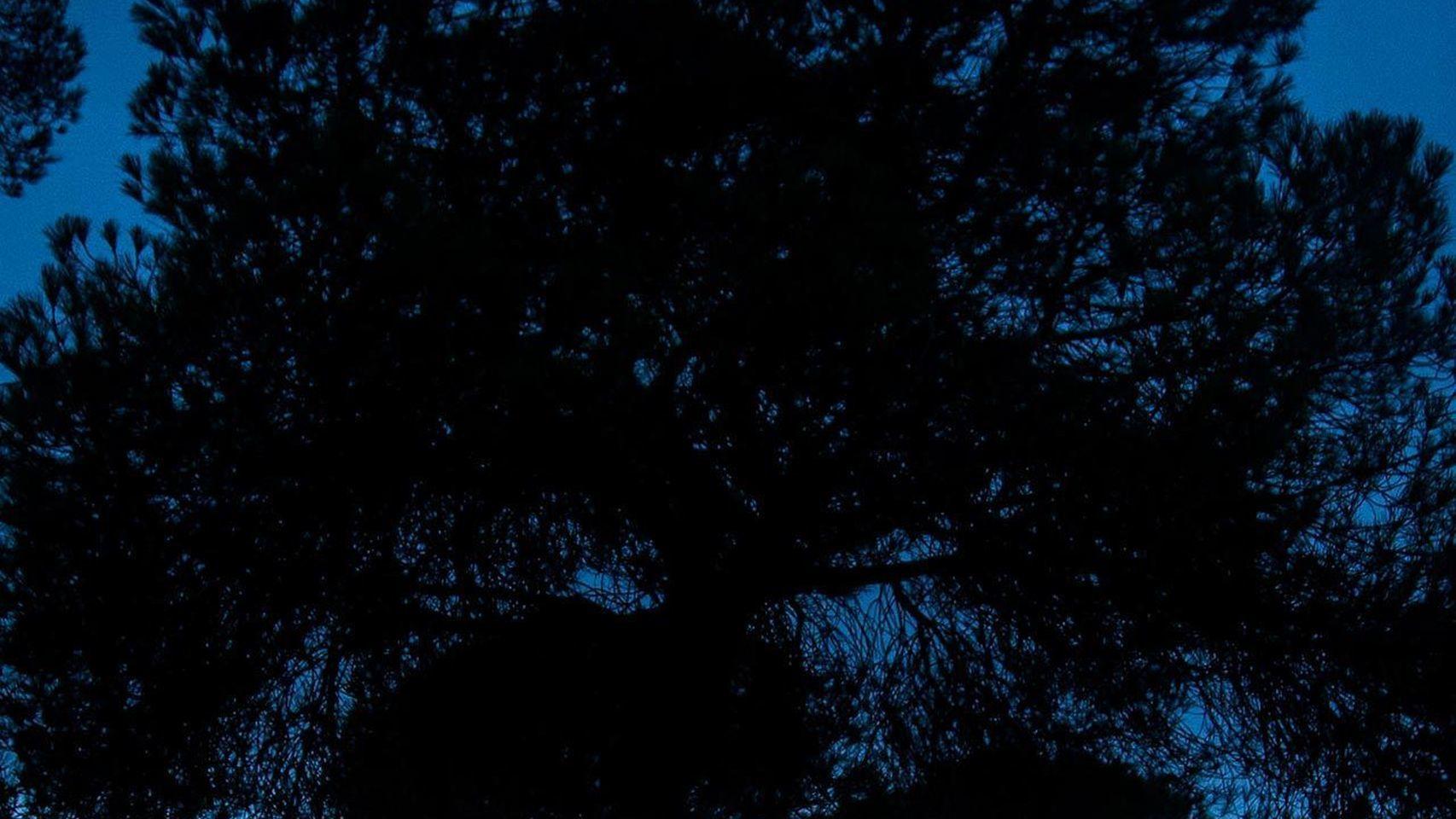 Imagen de un asentamiento de temporeros de Huelva.