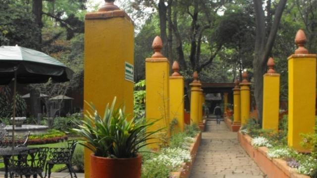 Los pasillos del jardín de la Fonoteca Nacional