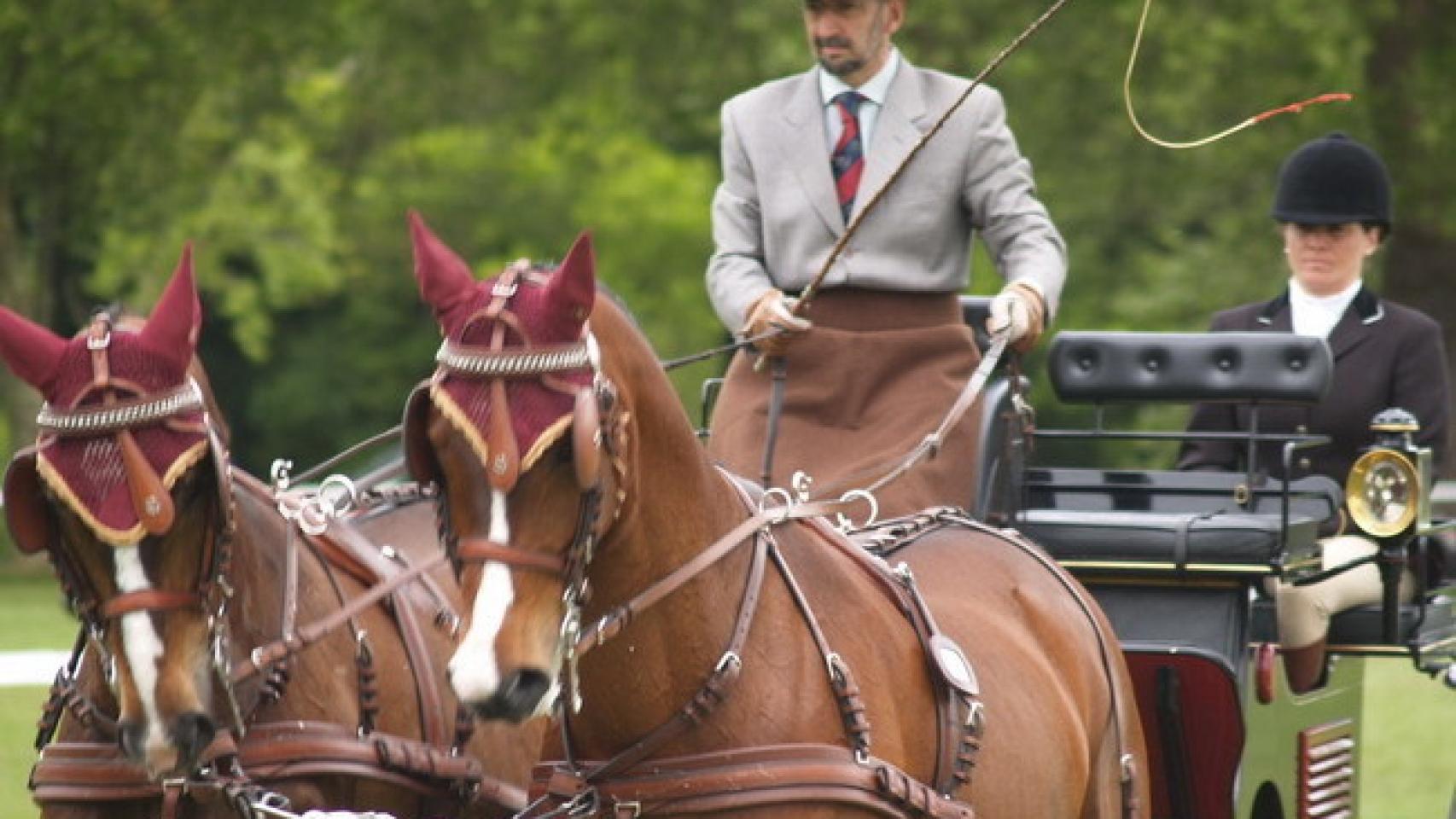 Colman, durante una competición de enganche.