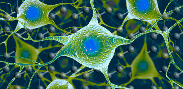 grafeno-neurona