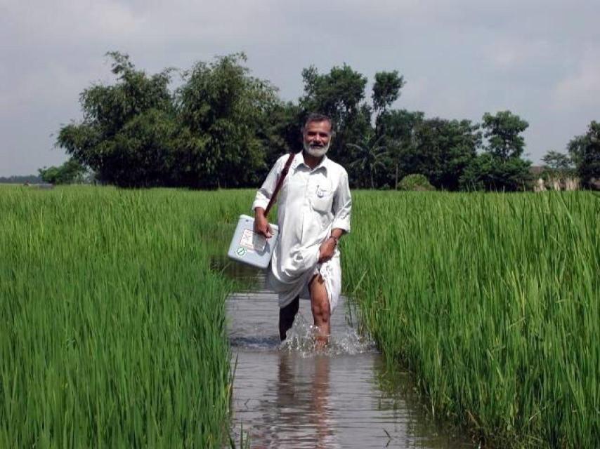 Miembro de una campaña de vacunación en la India.