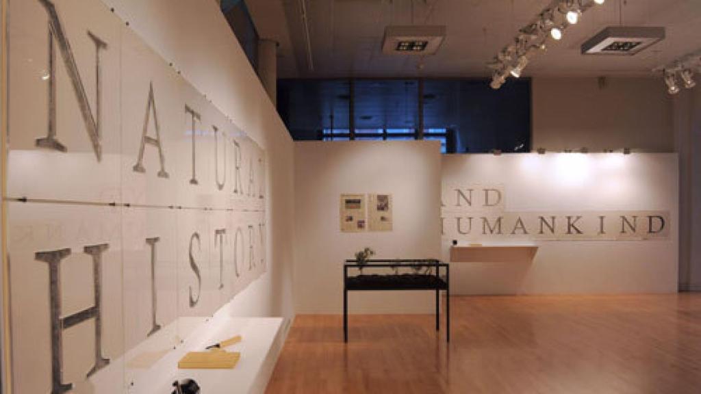 Image: Un diamante en bruto