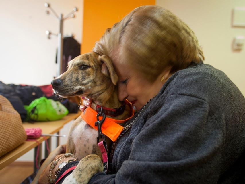 Terapia lúdica con galgos en Ballesol.